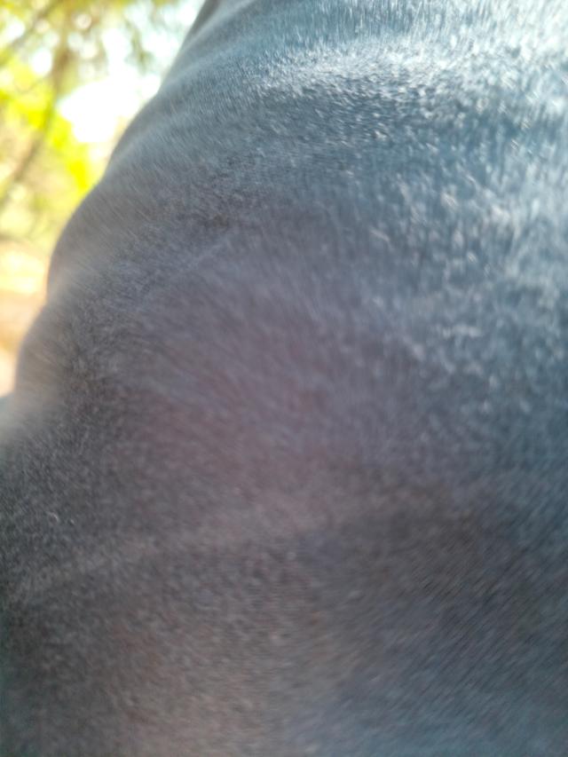 rishithachowdary88