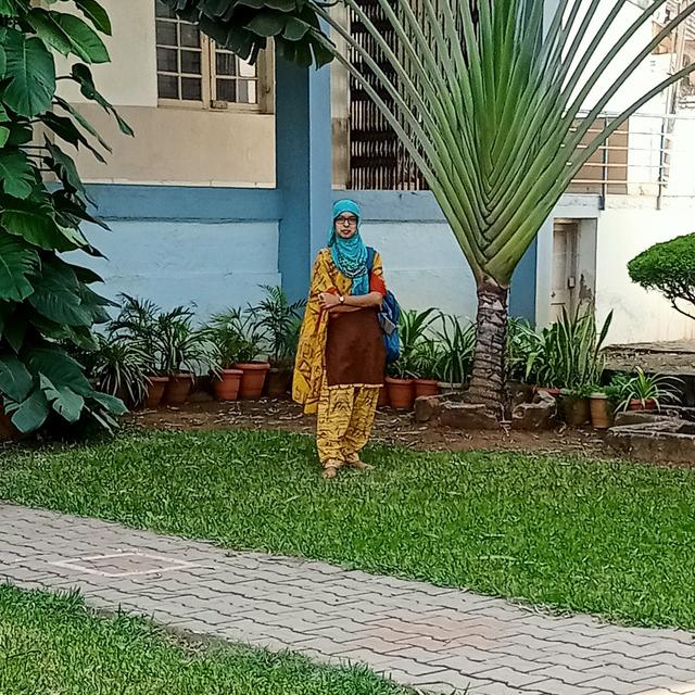 pairojabatakurki82175